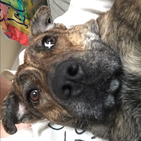 Meet your Posher, Deedra - Picture 3 of 8